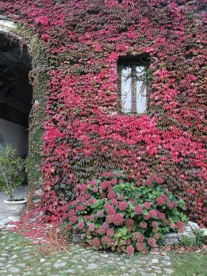 Casa Vacanza Zia Ersilia Rotondi Exterior foto